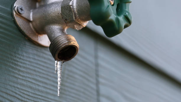 Best Shower Repair Services  in Inverness, IL